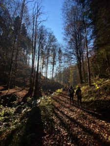 Přespávačka – sobota až neděle 17.–18. 10. 2026 – skauti